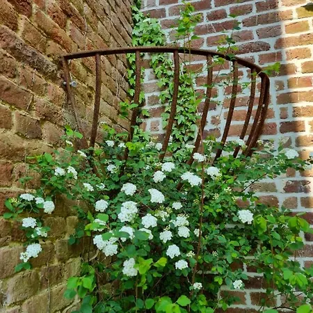 Дом отдыха De La Ferme De Seron - De Charme A La Campagne Avec Sauna