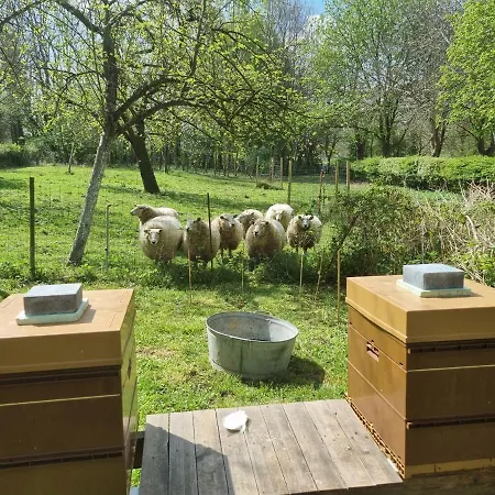Ferienhaus De La Ferme De Seron - De Charme A La Campagne Avec Sauna Fernelmont