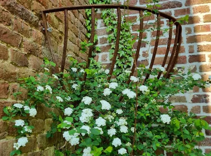 Holiday home De La Ferme De Seron - De Charme A La Campagne Avec Sauna