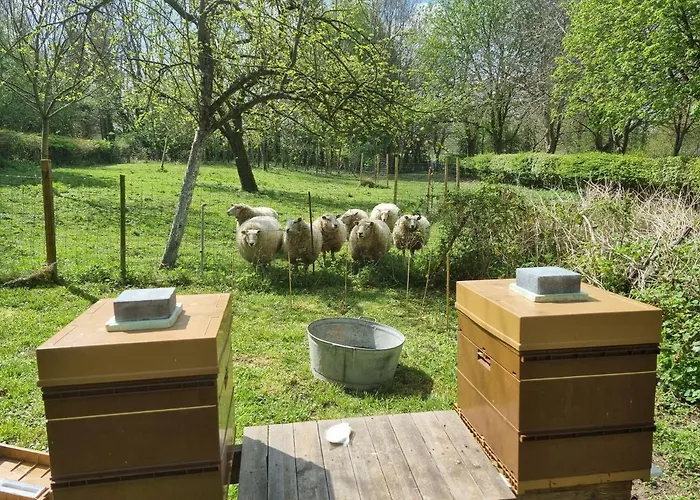 Casa de Férias De La Ferme De Seron - De Charme à La Campagne Avec Sauna Fernelmont