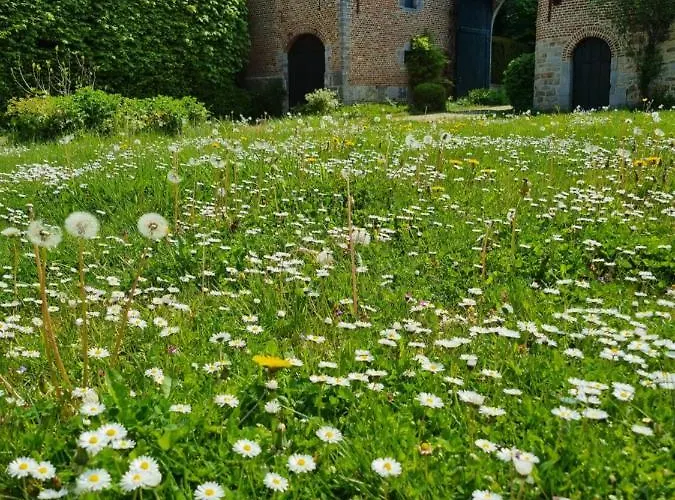Holiday home De La Ferme De Seron - De Charme A La Campagne Avec Sauna *