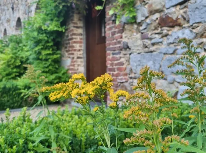 De La Ferme De Seron - De Charme à La Campagne Avec Sauna Fernelmont