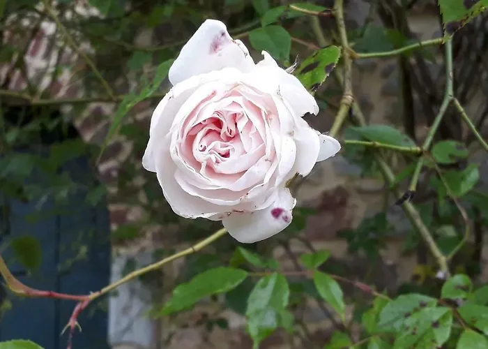 De La Ferme De Seron - De Charme A La Campagne Avec Sauna * Fernelmont